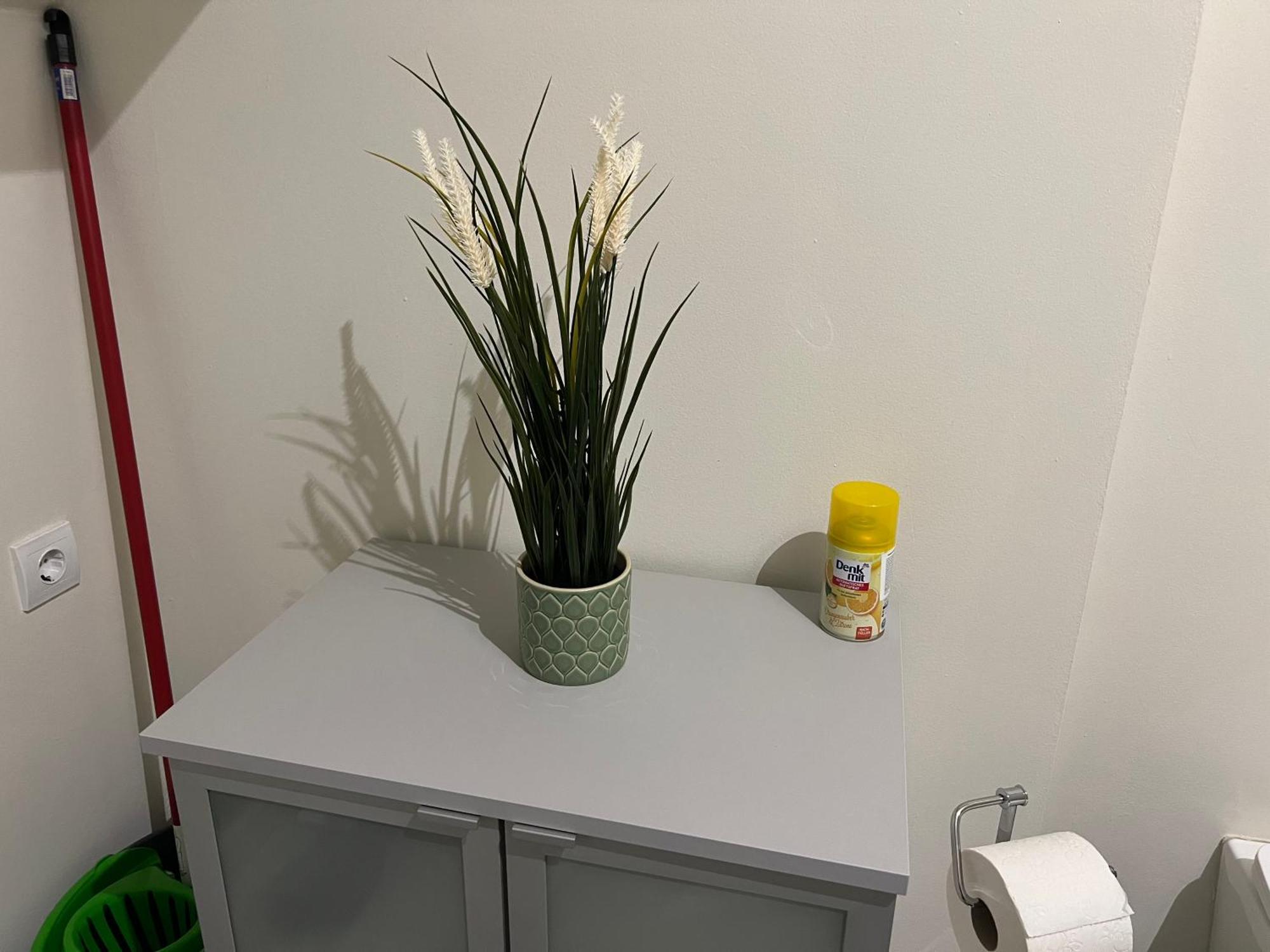 Buekkoes Apartman Apartment Szentendre Bagian luar foto